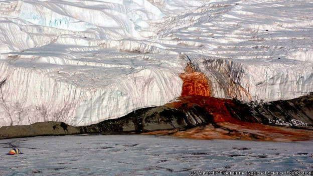 Cientistas consideram vales secos e gelados da Antártida parecidos com Marte