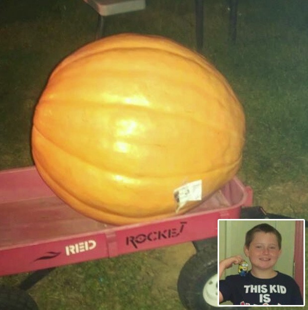 Jaiden recebeu de volta a abóbora de 115 kg que havia sido roubada, junto com um bilhete de desculpas do ladrão (Foto: Reprodução/Facebook/Amy Newcomer)